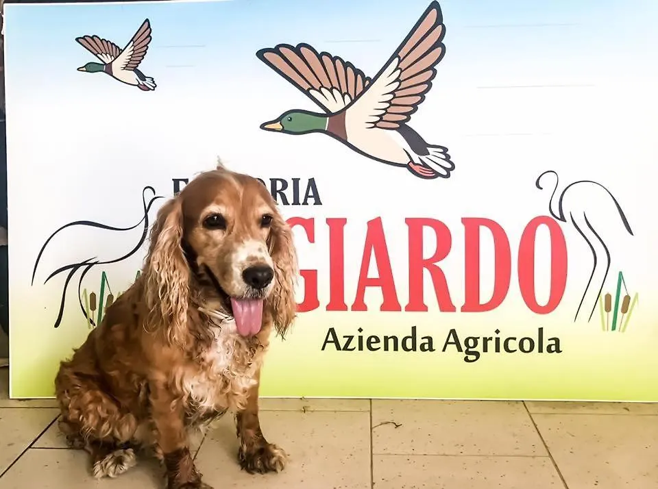 Апартаменты Fattoria Il Giardo Пьетразанта