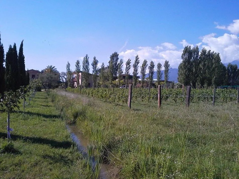 Апартаменты Fattoria Il Giardo Пьетразанта