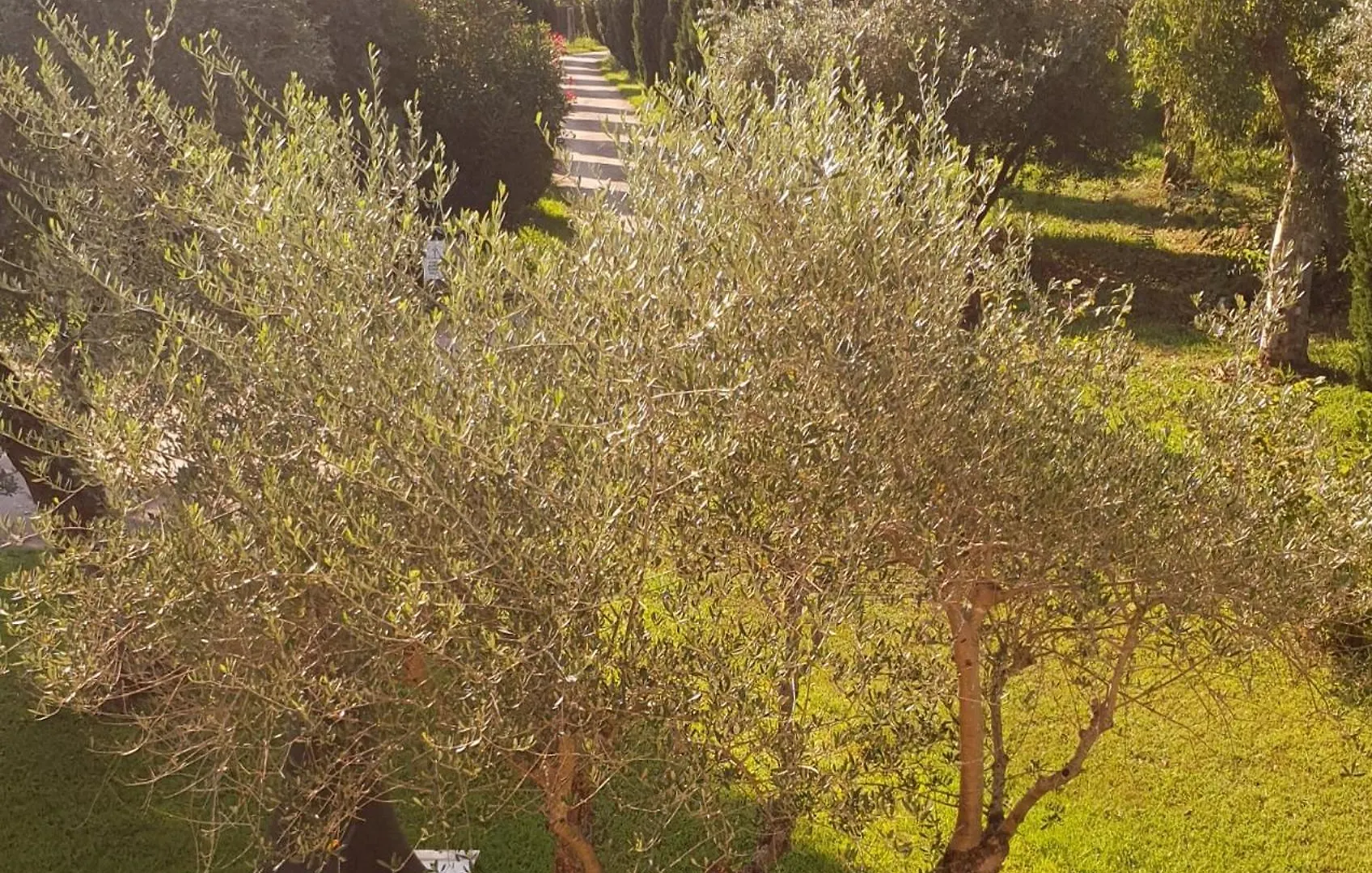 Апартаменты Fattoria Il Giardo Пьетразанта