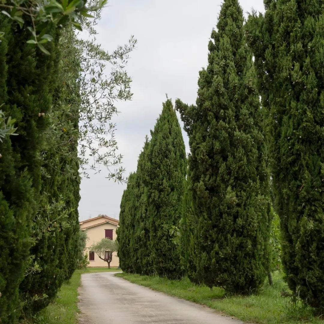 Fattoria Il Giardo Apartment Pietrasanta Italy