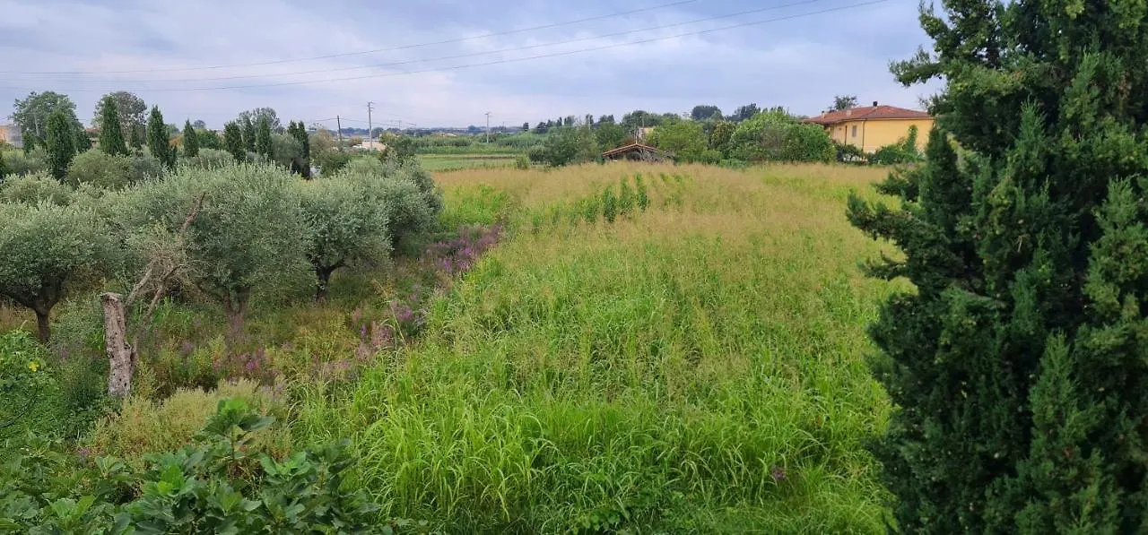 Fattoria Il Giardo Appartement Pietrasanta